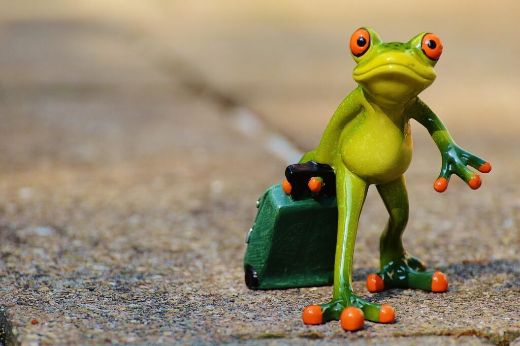 frog, farewell, travel, suitcase, nature, travel bag, vacations, on the way, animal, fun, figure, cute