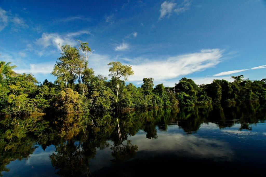Peaceful scene of a lush river landscape in Alta Floresta, Brazil, with lush trees reflecting on the water.